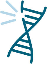 Illustration of a mutated gene to depict how hereditary ATTR-CM (hATTR) is passed down from relatives
