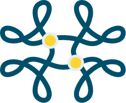 VYNDAMAX attaches to the TTR protein.